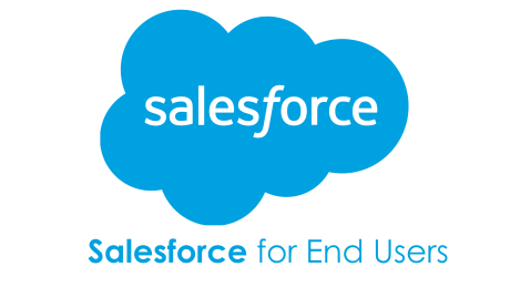 Salesforce End Users